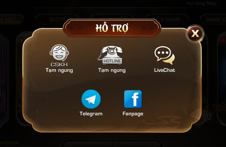 Đội Ngũ Hỗ Trợ Luôn Sẵn Sàng Trợ Giúp 24/7